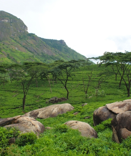 Thekkady