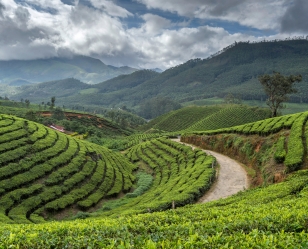 Munnar